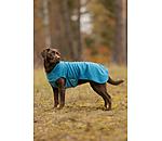 Hunde-Unterzieh- und Fleecepullover Basic
