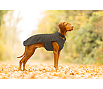 Hunde-Unterzieh- und Fleecepullover Basic