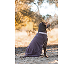 Hunde-Unterzieh- und Fleecepullover Basic
