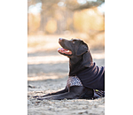 Hunde-Unterzieh- und Fleecepullover Basic