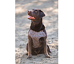 Hunde-Unterzieh- und Fleecepullover Basic