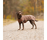 Hunde-Unterzieh- und Fleecepullover Basic