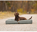 Hundebett Carlo