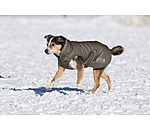 Winter-Hundemantel Archie Snow Drift, 200 g