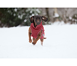 Winter-Hundemantel Archie Snow Drift, 200 g