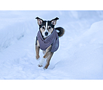 Winter-Hundemantel Archie Snow Drift, 200 g
