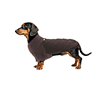 Dackel Fleecepullover Edward