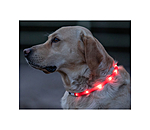LED-Leuchthalsband f�r Hunde