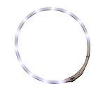 LED-Leuchthalsband f�r Hunde