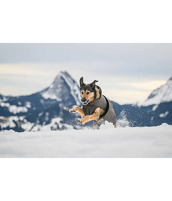 Hunde Wintermantel Eddie mit Fleeceinnenfutter, 200 g
