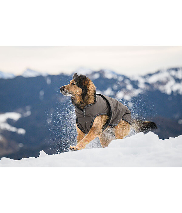 Hunde Wintermantel Eddie mit Fleeceinnenfutter, 200 g