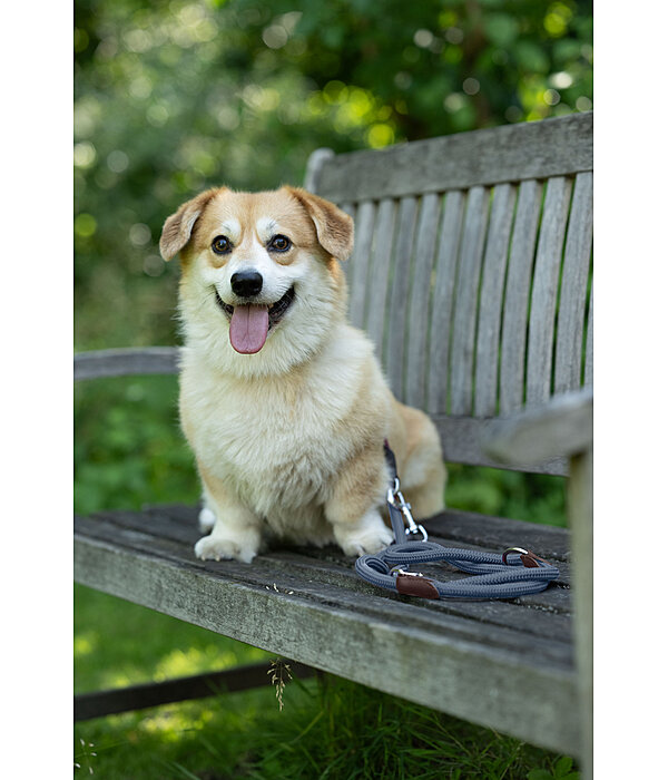 Hundehalsband Rope