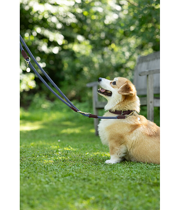 Hundehalsband Rope