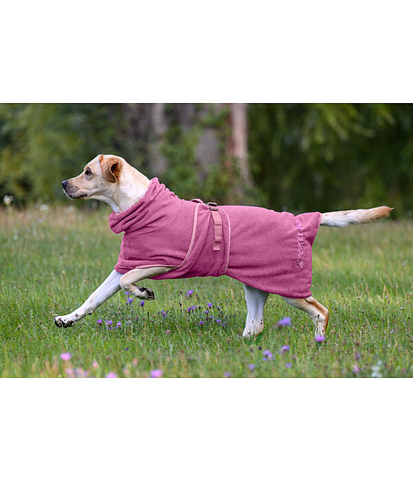 Hunde-Trocknungscape Dry Dog II