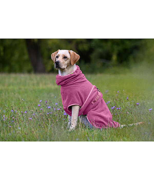 Hunde-Trocknungscape Dry Dog II