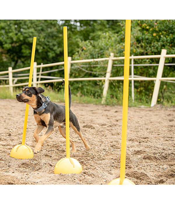 Agility St�nder