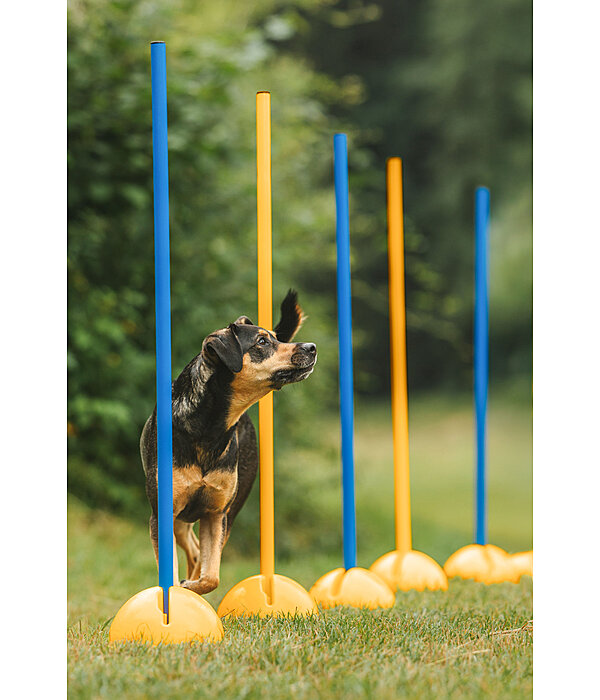 Agility St�nder
