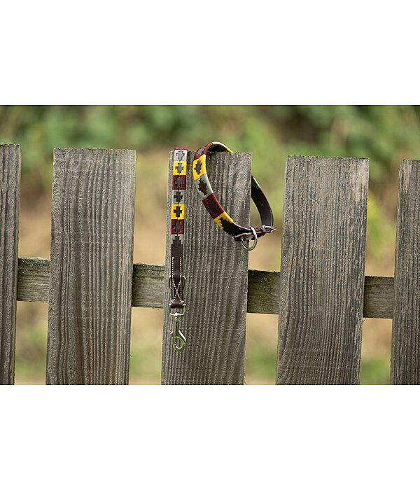 Set: Leder-Hundehalsband und -leine Polo Sports