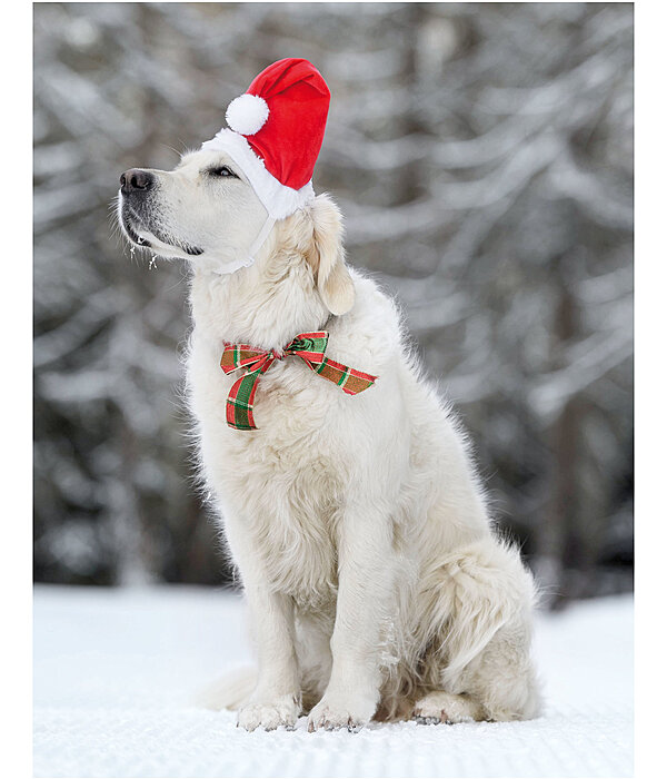 Weihnachtsm�tze Santa f�r Hunde