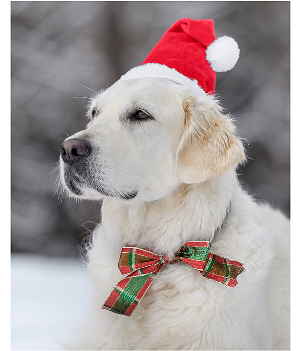 Weihnachtsm�tze Santa f�r Hunde