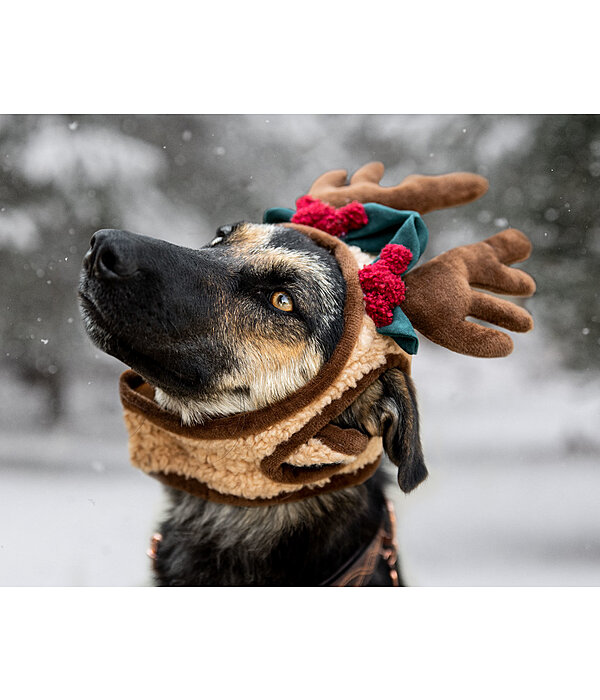 Weihnachtsgeweih Rudolph f�r Hunde
