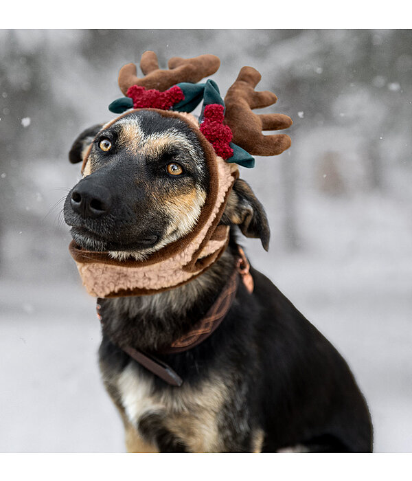 Weihnachtsgeweih Rudolph f�r Hunde
