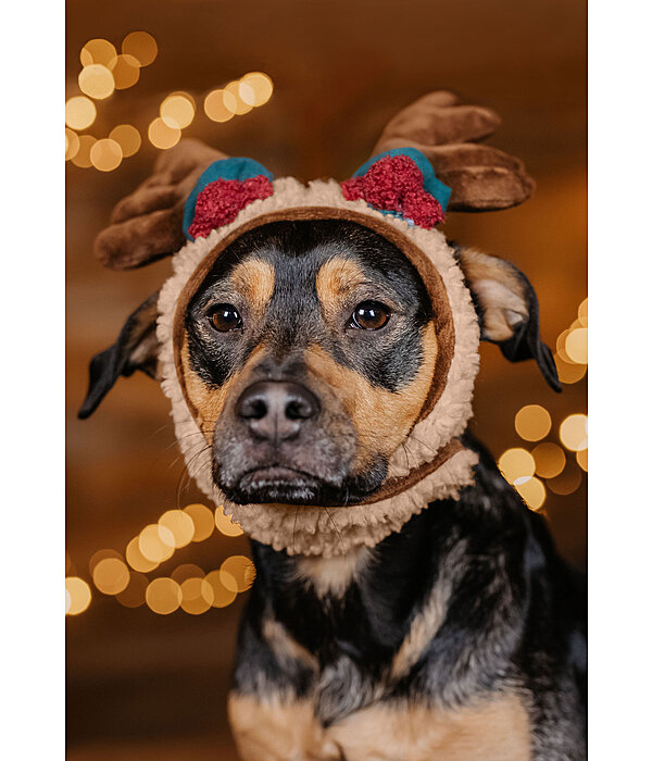 Weihnachtsgeweih Rudolph f�r Hunde