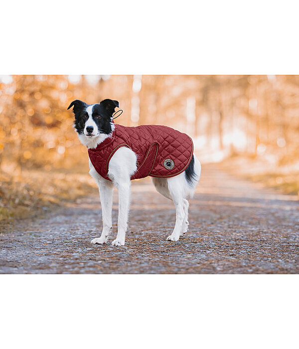 Hundemantel Archie mit Teddyfleece-Innenfutter, 160 g
