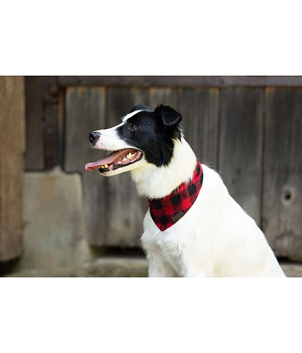 Hundehalstuch Henry