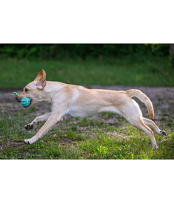 Zahnputz-Hundespielzeug Cleo