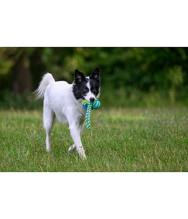 Zahnputz-Hundespielzeug Cleo