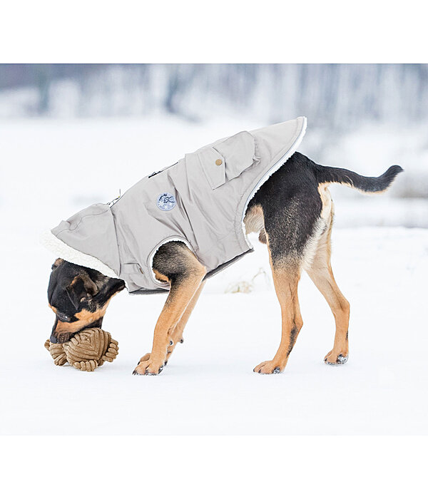 Hundespielzeug Kuschel-B�r Bruno