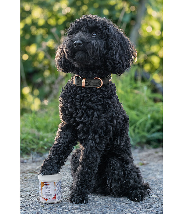 Pfotenschutz-Balsam Soft Velvet f�r Hunde