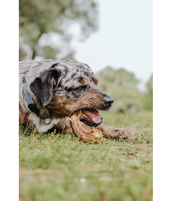 Putenh�lse Hundesnack