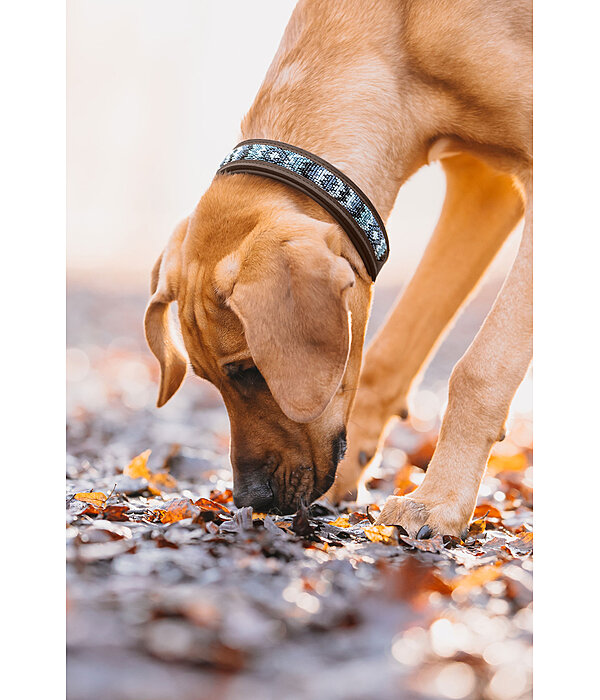 Hundehalsband in Leder-Optik Nashville
