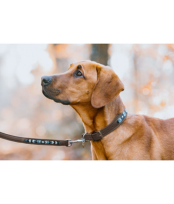 Hundehalsband in Leder-Optik Nashville
