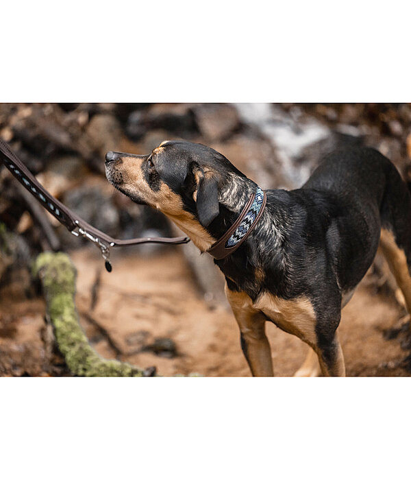 Hundehalsband in Leder-Optik Nashville