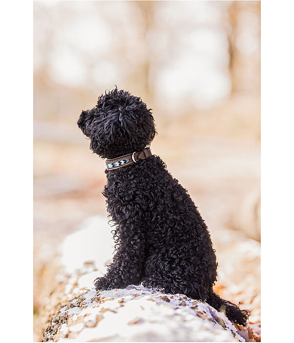 Hundehalsband in Leder-Optik Nashville
