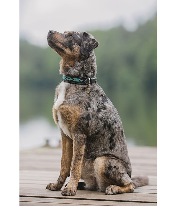 Hundehalsband in Leder-Optik Nashville
