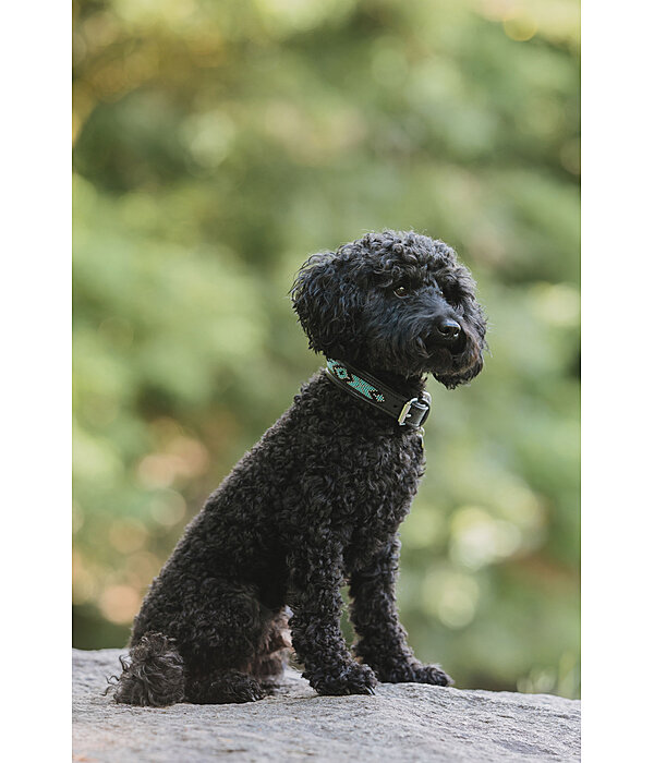 Hundehalsband in Leder-Optik Nashville