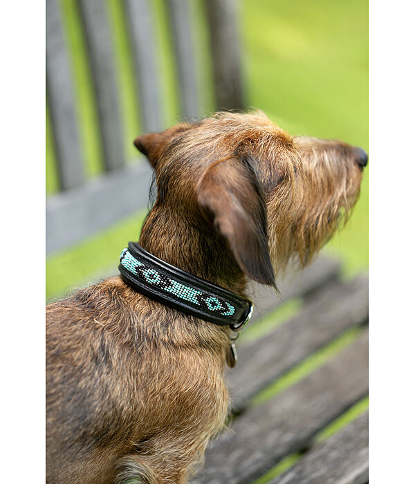Hundehalsband in Leder-Optik Nashville