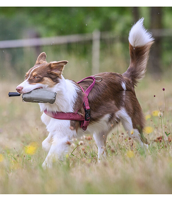 Apportierbeutel Classic Line f�r Hunde