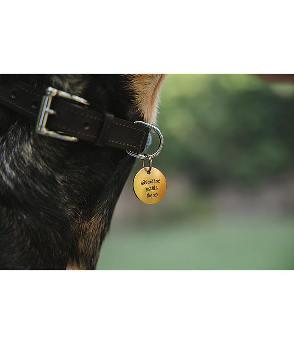 Charm f�r Hunde Travel Buddy
