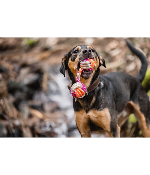 Tau-Hundespielzeug Sepp