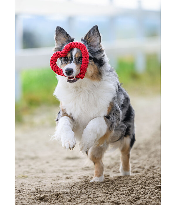 Tau-Hundespielzeug Valentine