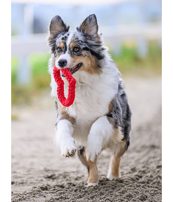 Tau-Hundespielzeug Valentine