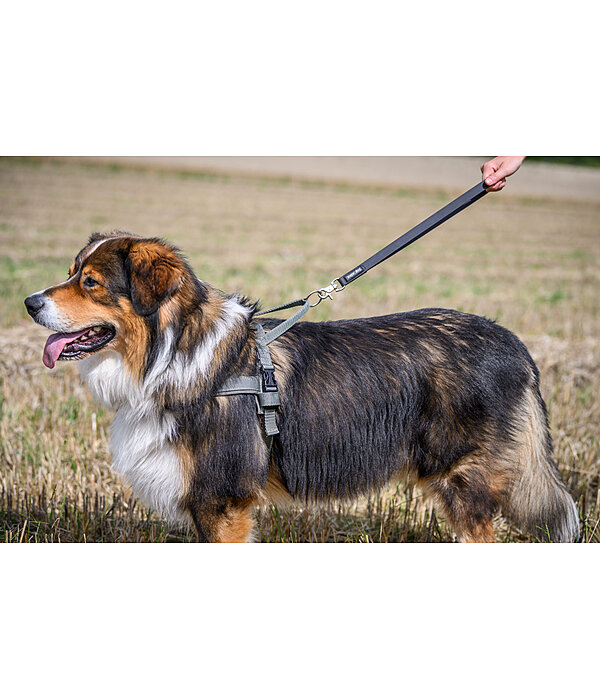 Waterproof Kurzf�hrer Jug f�r Hunde