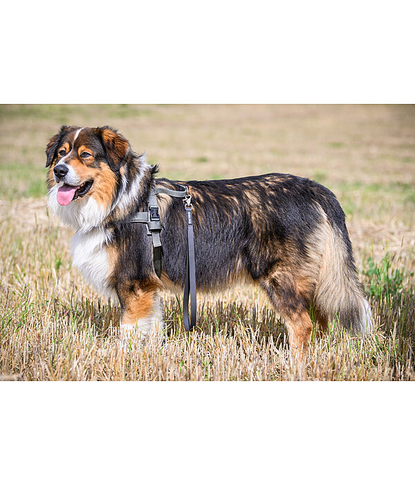 Waterproof Kurzf�hrer Jug f�r Hunde