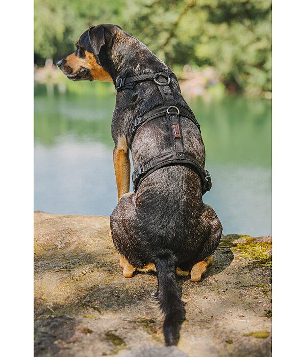 Sicherheitsgeschirr Irmi f�r Hunde