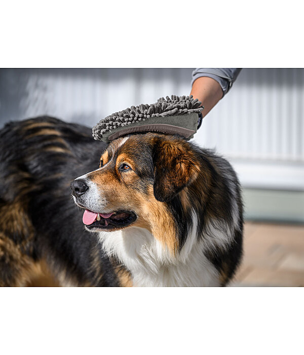 Handschuh-Striegel Cosma f�r Hunde